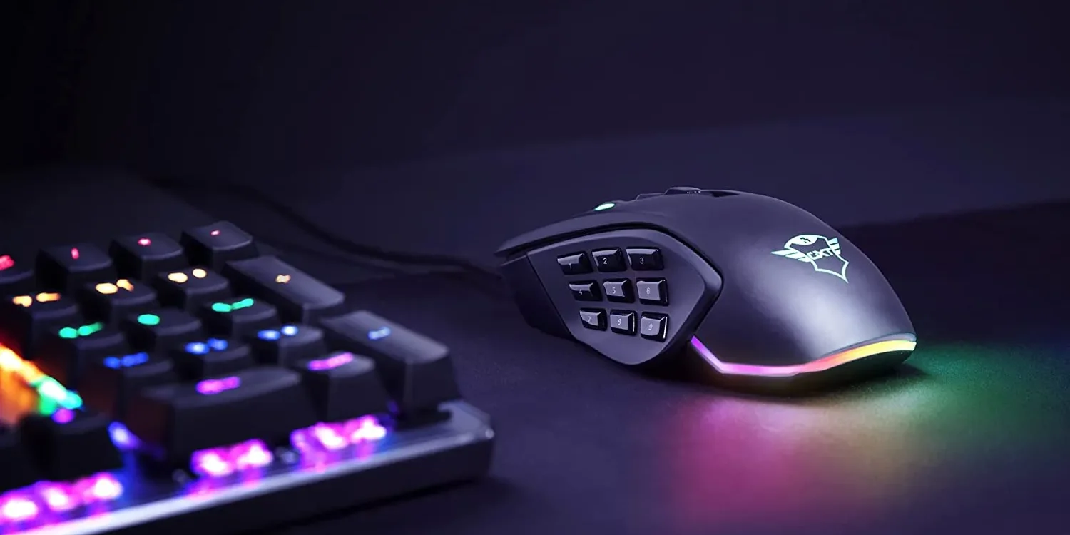 souris gamer